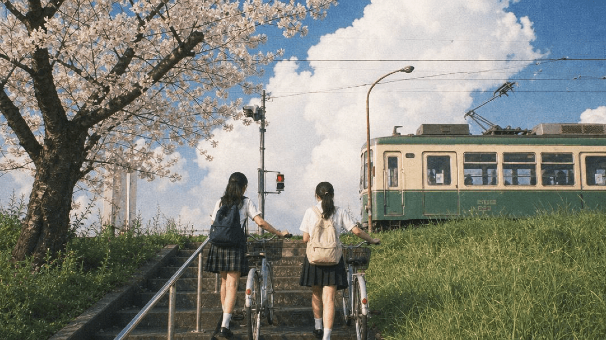 Cherry blossom and tram scene — example AI video output